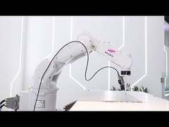 ER10-900 일반 산업용 로봇